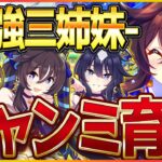【ウマ娘】月に一回ペースで体調ﾀﾋんでる漢の復帰配信‼そろそろ完成させておきたい本育成/配信/ヴィルシーナ/シュヴァルグラン/ヴィブロス【新シナリオ】