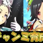 【ウマ娘】ライアンとチケゾーでチャンミを勝つために育成する【ウマ娘プリティーダービー】