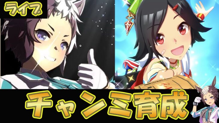 【ウマ娘】ライアンとチケゾーでチャンミを勝つために育成する【ウマ娘プリティーダービー】