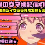 【ウマ娘】金継承は金メッキ☆ＤＤから始めるチャンミ育成☆【初見様歓迎】