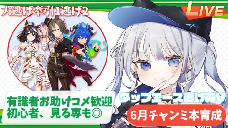 【ウマ娘】一人も完成してない6月チャンミ育成回！とたまにUA本育成の交互浴　有識者/初心者歓迎 【心無到夏/TokaUranaki】