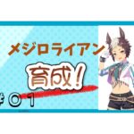 【ウマ娘】メジロライアン　7月チャンミ用育成