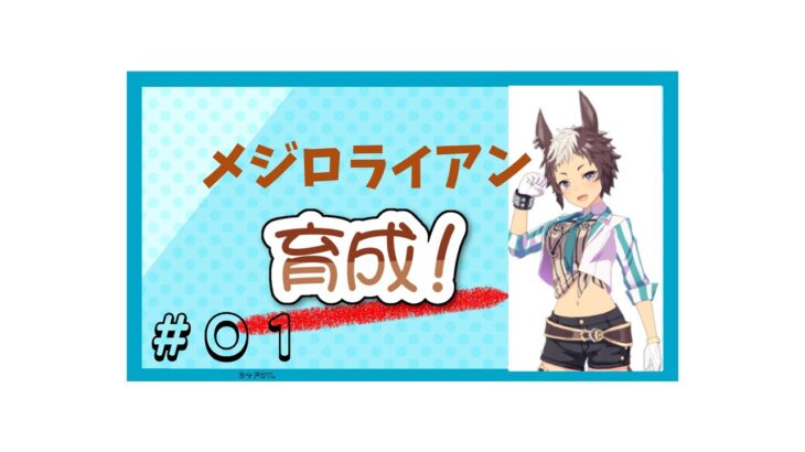 【ウマ娘】メジロライアン　7月チャンミ用育成