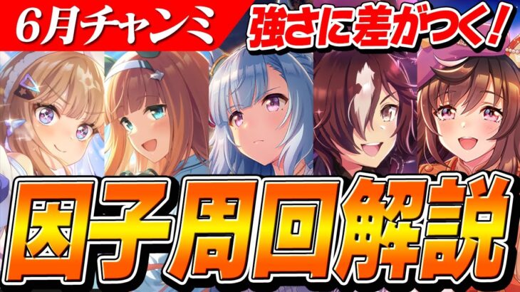 【ウマ娘】因子周回で差をつけろ！6月チャンミ『オークス』因子周回おすすめサポカ編成と固有継承