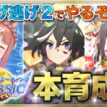【ウマ娘/チャンミ】オークス本育成いくよ～!!! #6　まったり雑談しながら楽しもう♪　●初見さん歓迎●【ウマ娘プリティーダービー/Vtuber/個人Vtuber/かめめ/配信】