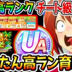 【ウマ娘】かんたん高ランク育成法！無人島壊れた！UA／UBも可能！おすすめサポカ／育成全編解説【無料10連 ウマ娘プリティーダービー チャンミ プラチナ シナリオリンク ぱかライブTV 強い？スピ5