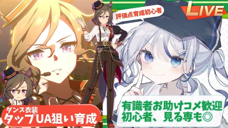 【ウマ娘】タップUA狙い本育成のみ 有識者/初心者歓迎【心無到夏/TokaUranaki】