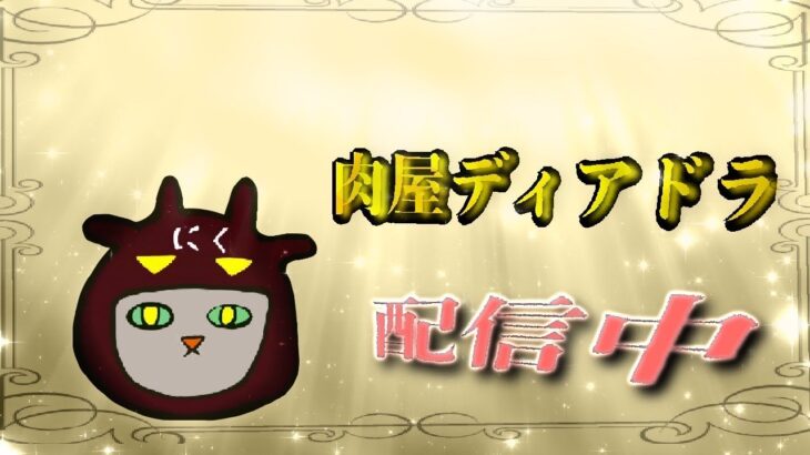 アラフォー肉屋のウマ娘 チャンミ育成