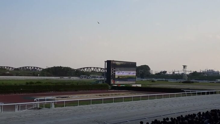 2025年4月29日　笠松競馬　11R　新緑賞　ウマ娘コラボイベント レース映像　現地映像　ゴーゴーバースディ