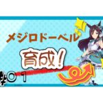 【ウマ娘】メジロドーベル　7月チャンミ用育成