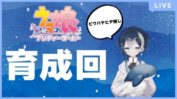 【ウマ娘】チャンミ育成、ルムマ試走もしたい