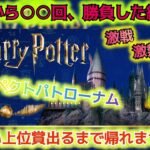 【一番くじハリー・ポッター】もしも魔法が使えたら…散財しなかったのに…【 Harry Potter Magical Sweets Party】