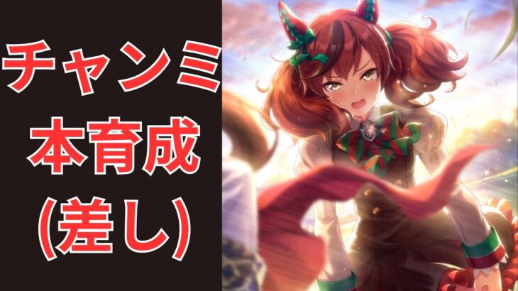 【ウマ娘】【無課金】とりあえず本育成！/チャンピオンズミーティング #ウマ娘