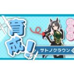 【ウマ娘）サトノクラウン　7月チャンミ用育成