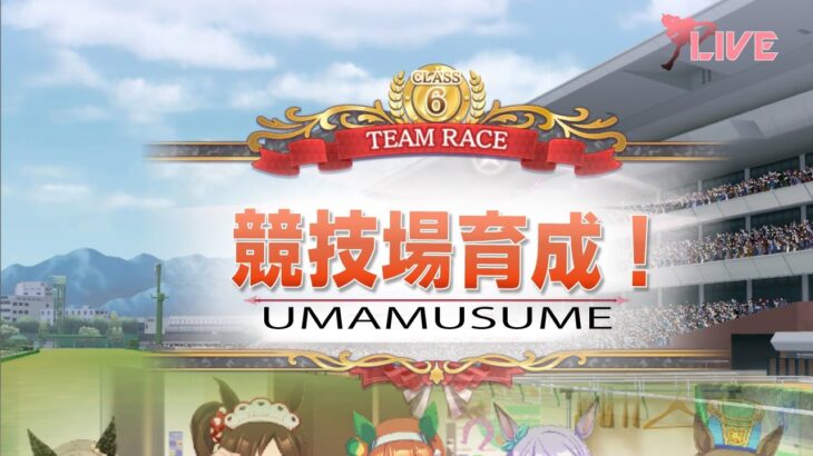 【ウマ娘】競技場育成