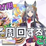 【ウマ娘育成】新衣装アイネスの情報見て、大逃げ用因子周回するでござる