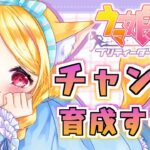 #78【#ウマ娘】今日も7月チャンミの育成やるぞー！(アドバイス歓迎)【狐見夢みゆ  / Vtuber】