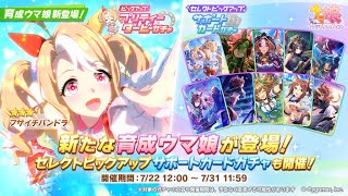 【ウマ娘】チャンミのウマを作るために帰ってきたらいろいろ情報が出てたのでまとめてみてくぞ！！