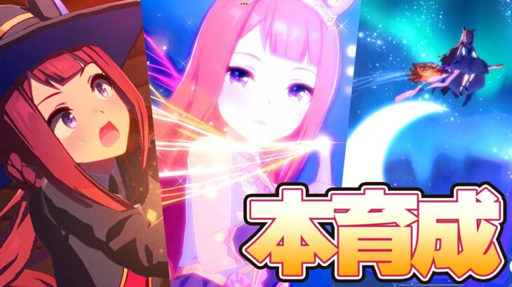 【ウマ娘】スイープトウショウが強そうなのでレンタル本育成【チャンミ】