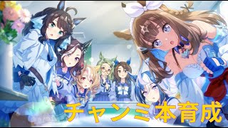 【ウマ娘】あのキャラでチャンミ本育成する