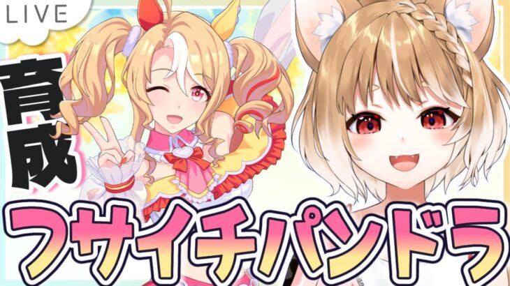 【ウマ娘】フサイチパンドラの初見育成やっていくよおおおおおお！！！【ウマ娘プリティーダービー】
