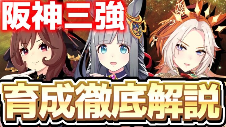 【チャンミ攻略】デッキ・因子・施設・イベント全網羅！宝塚3強育成徹底解説！ドンナクロノオルフェ【ウマ娘×ずんだもん】