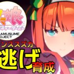 【 #ウマ娘 / Umamusume Pretty Derby 】7月チャンミー 大逃げ育成 #８４３（ #初見さん歓迎 ）