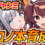 【#ウマ娘】7月チャンミ先行クロノジェネシス本育成！無人島イベント攻略！チャンミまで残り7日…！＞育成方法一緒に検討していこう～！！【#Vtuber /#紅乃みやこ /#育成  】