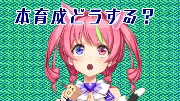 【ウマ娘】リグヒの本育成やらないと間に合わない！　【UMAMUSUME】