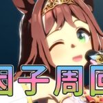 【ウマ娘】色々あった人間の因子周回