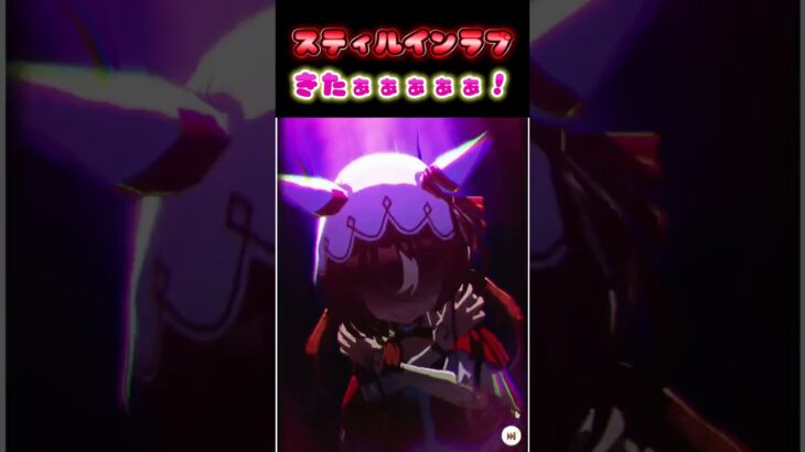 【ウマ娘】スティルインラブげっとできたああ！！！【UMAMUSUME】