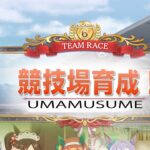 【ウマ娘】競技場育成
