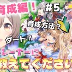 【steam版】ファル子育成編！色々教えて…！初見🔰ウマ娘プリティーダービー🏇アニメ『シングレ』を見てウマ娘にハマった新人トレーナーです！＃５【VTuber】