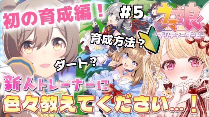 【steam版】ファル子育成編！色々教えて…！初見🔰ウマ娘プリティーダービー🏇アニメ『シングレ』を見てウマ娘にハマった新人トレーナーです！＃５【VTuber】