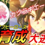 【 #ウマ娘 / Umamusume Pretty Derby 】8月LOH カツラギエース本育成！ その２   #８５５（ #初見さん歓迎 ）
