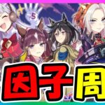 【ウマ娘ガチャ】祝！4.5周年！チャンミの準備しますか【ウマ娘育成攻略】＃ウマ娘　#新シナリオ