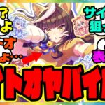 ウマ娘『新しいサポカイラストである事実に気づいてしまった人たち 』に対するみんなの反応集 まとめ ウマ娘プリティーダービー レイミン ガチャ ヒシミラクル SSRカルストンライトオ デュランダル
