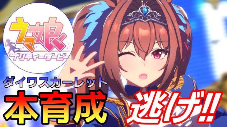 【 #ウマ娘 / Umamusume Pretty Derby 】8月LOH ダイワスカーレット本育成！   #８５３（ #初見さん歓迎 ）