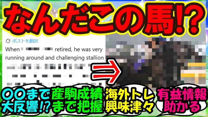 『あるウマ娘の生涯を知ってしまった海外トレーナーさん大興奮にSNSで話題に！』まとめ【ウマ娘プリティーダービー】