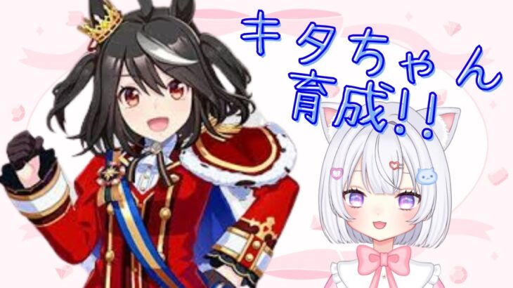 【 #ウマ娘 】8月LOH用キタサンブラック育成!!皆はもう作れたかな!?【 #vtuber  #にゃもらいぶ 】