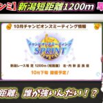 【10月チャンミ調査】久々の短距離　新潟1200ｍがどんなコースか調べる枠【ウマ娘/Umamusume】　日本語/EN/中文