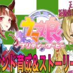 【 #ウマ娘 / #初心者 】アドバイスOK🏇トランセンド育成&ストーリー鑑賞会💛【 #vtuber 】