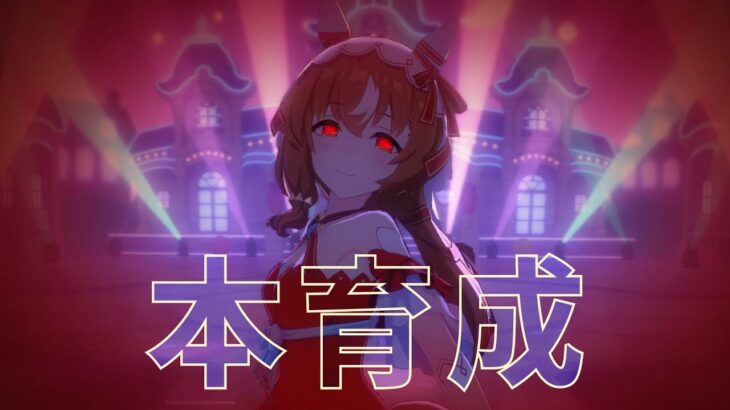 【ウマ娘】スティル本育成、終わらない