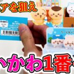 【大人気】ちいかわ一番くじ！またもや大行列!?即完売間違い無しです。（一番くじ、一番賞、ちいかわ）
