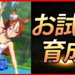 【ウマ娘】10月チャンミ 夏バンブーお試し育成【生放送】