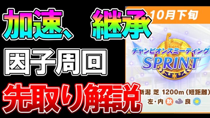 【ウマ娘】10月チャンミに向けて知っておきたい加速、継承、因子周回おすすめサポを解説！