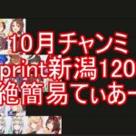チャンミsprint新潟1200超絶簡易てぃあーｗ