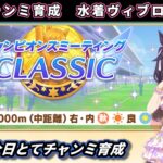 【チャンミ育成】9月中距離チャンミ向け水着ヴィブロス育成やる＃2【ウマ娘/Umamusume】　日本語/EN/中文