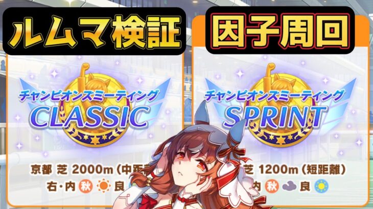 【ウマ娘】ルムマと10月チャンミの因子周回 #ウマ娘  #育成配信 #ゲーム実況  #わずやん