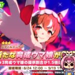 【ウマ娘】秋華賞チャンミの攻略まとめる！　ガチャもあるよ【第618回】
